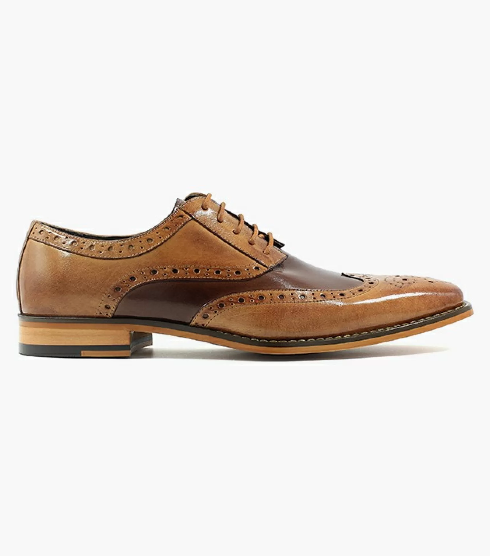 Stacy Adams Dress>Tinsley Wingtip Oxford